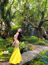 Butterfly Mesh Mermaid Dress