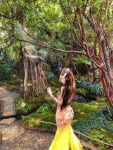 Butterfly Mesh Mermaid Dress